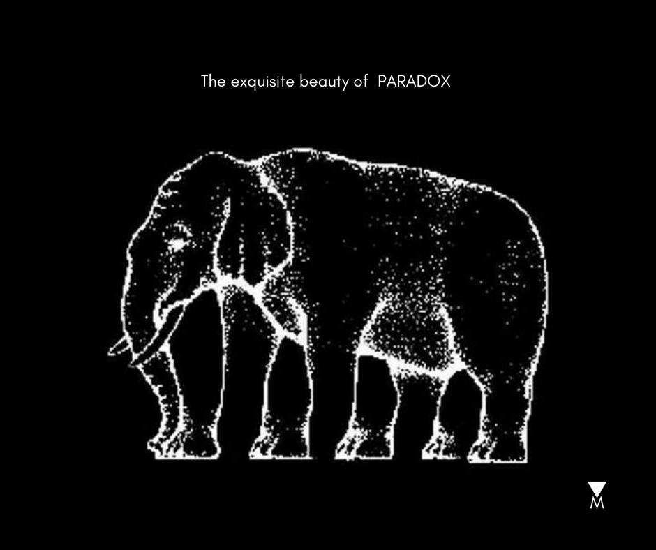 The Exquisite Beauty of Paradox